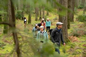 The Himalayan Heaven Homestay, Binsar