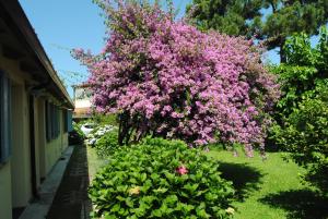 Villa Hermes