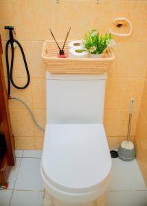 Quiet & Elegant Stay in Mikocheni, Dar es Salaam