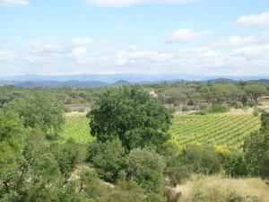 Villa in Var with Pool near Massif Maures