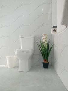 Cosy One bedroom with Solar backup, Swimming Pool & Wi-Fi