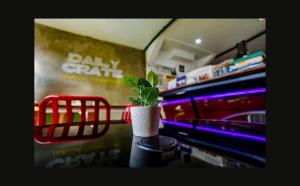 Corner Crib El Nido Hostel