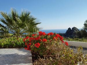 Beautiful Villa in Agia Galini Crete with Swimming Pool Rethymno Greece