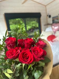 Tiny house romantique avec bain nordique