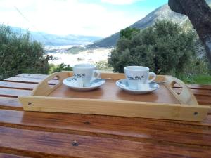 Dar Panorama Chaouen