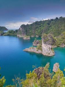 Rosye homestay raja ampat