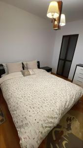 Apartament Centru Pitesti