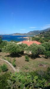 Moriani-Plage 1-bedroom apartment