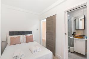 St Johns Wood Wonder 1