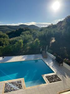 Kyparissia De Wandelboom