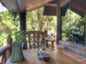 Private Forest Cottage Near Inthanon National Park