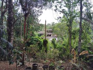 Crystal house