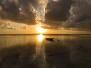 Mahi Mahi Beach Hotel