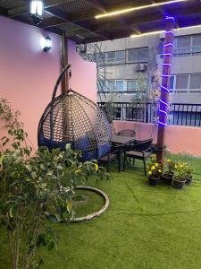 احمد المليحى بالدقى