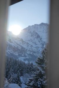 Cozy Chalet in Wengen with best views