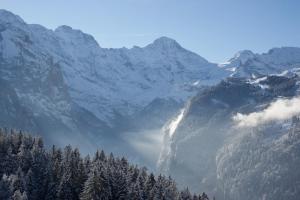 Cozy Chalet in Wengen with best views