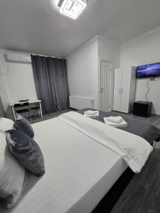 Vila Ris 4 Timpuri Noi