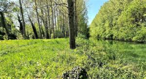 T-2est 46m dons la maison au bord du Canal du Midi