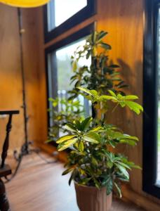 Cabaña sustentable en Uribelarrea