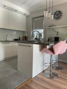 SECRET GARDEN APARTMENT z ogródkiem, bezpłatnym miejscem w garażu podziemnym