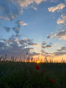 Ferienhaus Kristina Steinmetz