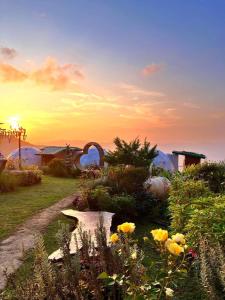 Phuchifa Sky Camp ร้อยรักภูชี้ฟ้า