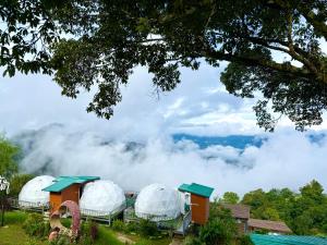 Phuchifa Sky Camp ร้อยรักภูชี้ฟ้า