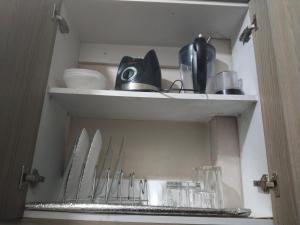 Staycation with Shicks