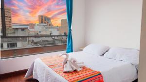 centro de pasto apartamento kz