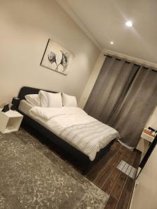 one bedroom spacious apartment in the heart of Jeddah