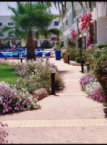 Cecilia Resort Hurghada