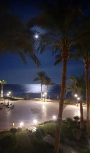 Cecilia Resort Hurghada