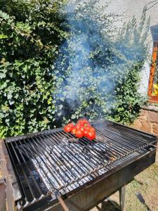 Casa amb jardí i llar de foc