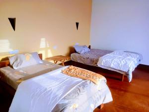 Anapa Lodge and Camp