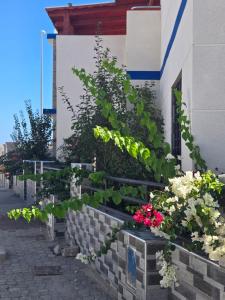 Mini villa 1 Al hoceima