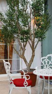 كلاسيك بالاس the classic palace