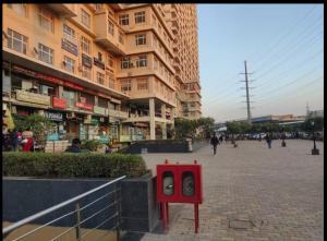 paramount gold foreste studio