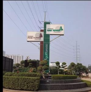 paramount gold foreste studio