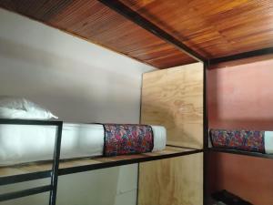 Backpackers And Travellers Art Hostel, Tours Agency huila y colombia