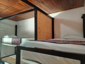 Backpackers And Travellers Art Hostel, Tours Agency huila y colombia