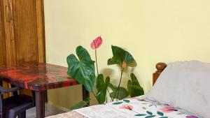 2 BHK fully furnished home