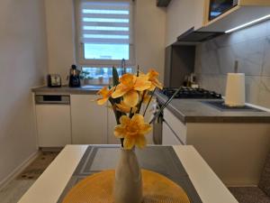 Kriss Cozy White Studio