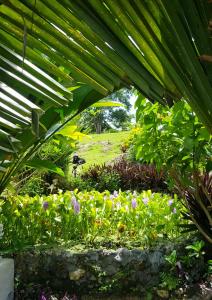 Coyaba Private Hilltop Jungle Retreat