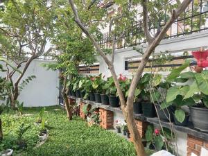 BeeCottageOne-Negombo