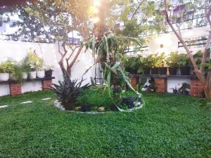 BeeCottageOne-Negombo