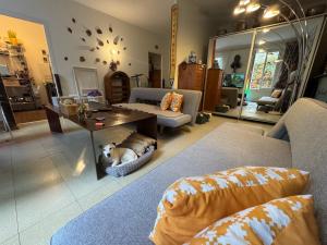 Shared Appart for 1 male traveler under 30s, -30ans