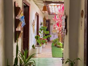 CASA MAGIA by Magally Velasco