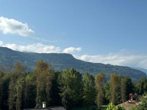Ancienne maison dans petit village savoyard