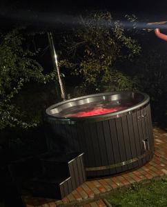 Casa de vacanță Cheșa