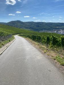 Apartment an der Mosel 1